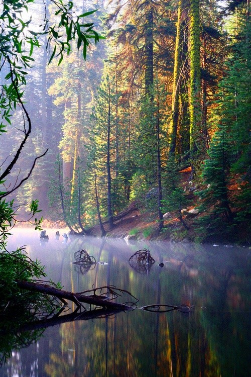 Afficher l’image source Résultat d’images pour paysage été animée