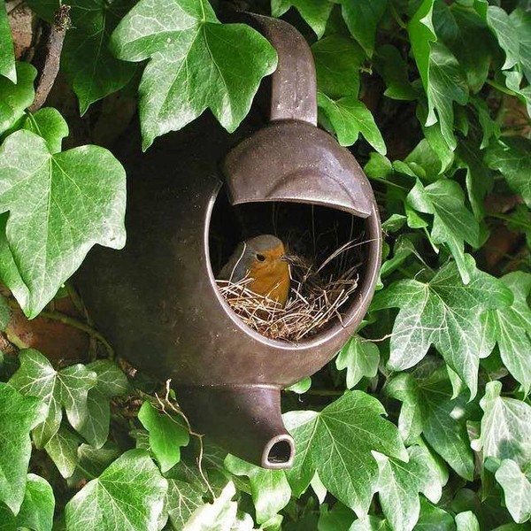 Oiseau dans son nid