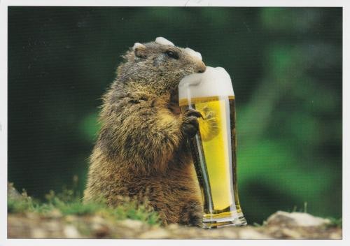 la marmotte qui vape Résistances Ultra Boost Q-Ultra coils de Lost Vape main image 0