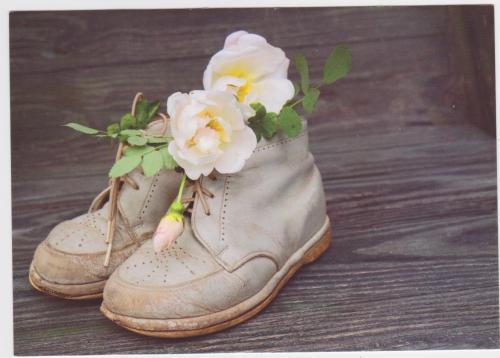 chaussures fleuries