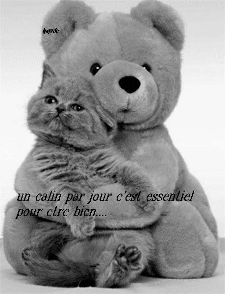 nounours calin